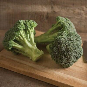 Broccoli