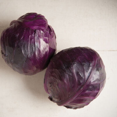 Cabbage