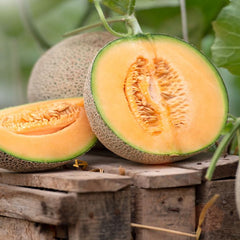 Collection image for: Cantaloupe