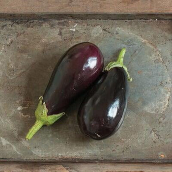 Eggplant