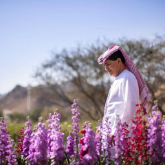 Collection image for: Emirates Farm Flowers