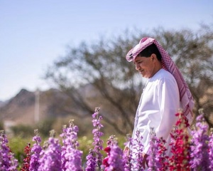 Emirates Farm Flowers