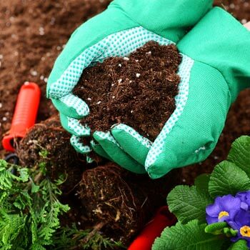 Fertilizers and soil