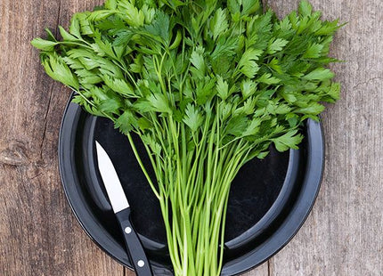 parsley easy cut 3