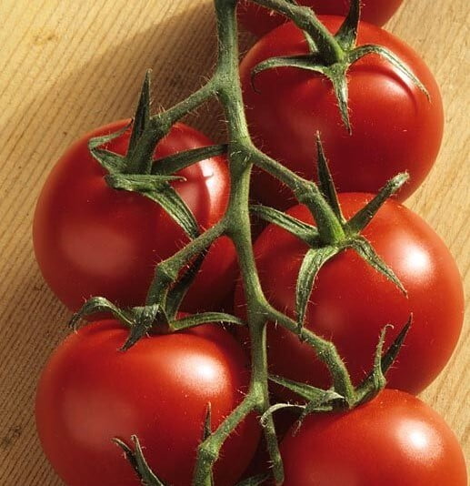 ARANCA Tomato