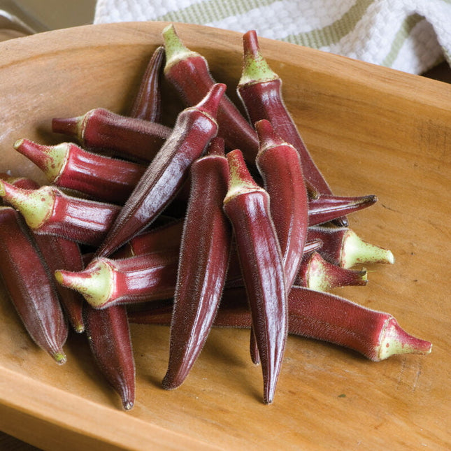 CARMINE SPLENDOR OKRA