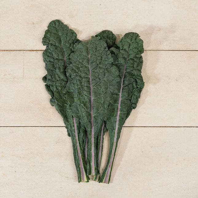 DAZZLING BLUE KALE