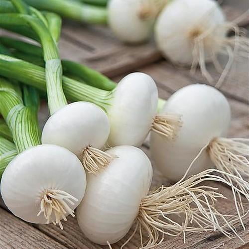 De Vaugirard Onions