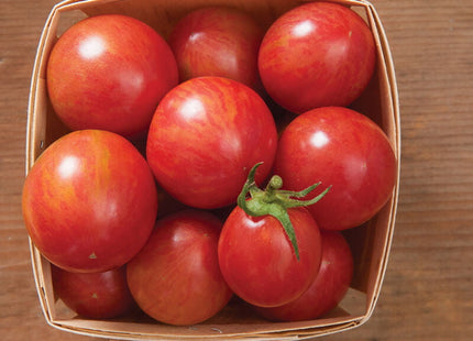 Pink Bumble Bee Organic tomatos