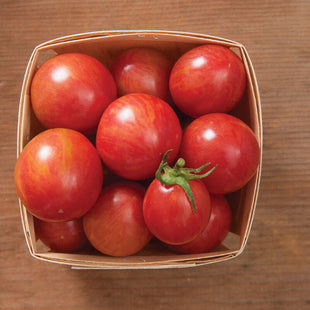 Pink Bumble Bee Organic tomatos