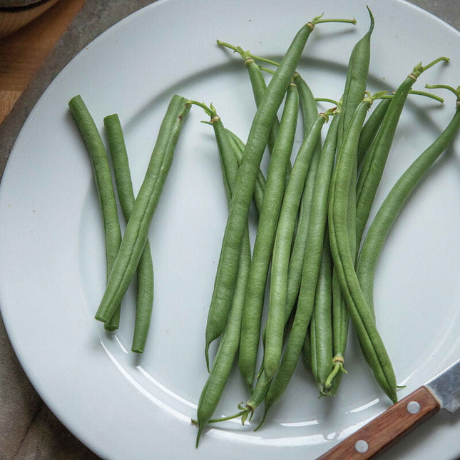 SEYCHELLES snap bean