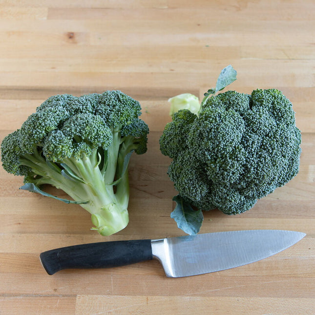 EASTERN MAGIC BROCCOLI