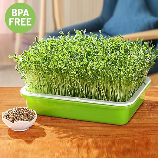 Seed Sprouter Tray with Drain Holes Seed Germination Microgreens