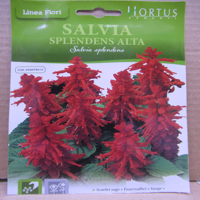 Scarlet Sage SALVIA SPLENDENS ALTA