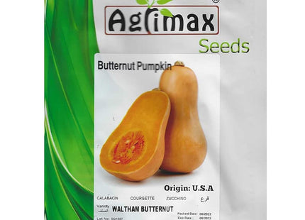 PUMPKIN SEEDS BUTTERNUT PUMPKIN PACKET 100 SEEDS