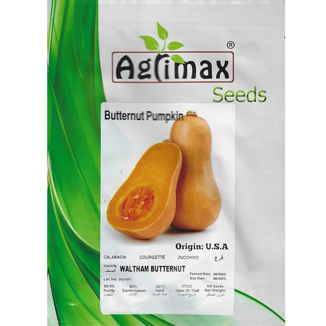 PUMPKIN SEEDS BUTTERNUT PUMPKIN PACKET 100 SEEDS