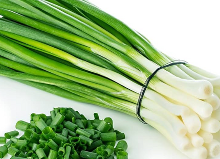 AGRIMAX CAN SPRING ONION ( SPRING ONION)