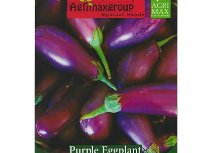 AGRIMAX HOBBY PURPLE EGGPLANT