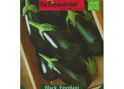 AGRIMAX HOBBY BLACK EEGGPLANT