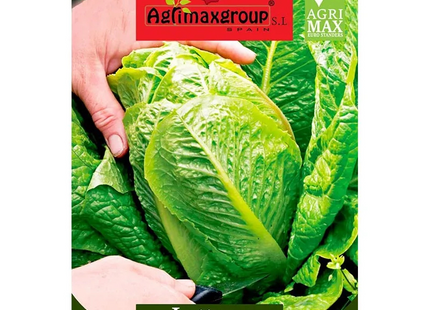 AGRIMAX HOBBY LETTUCE