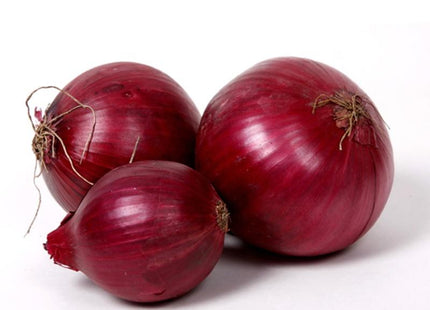 ONION RED CREOLE