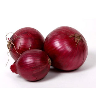 ONION RED CREOLE