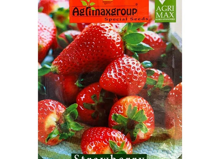 AGRIMAX HOBBY STRAWBERRY