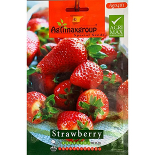 AGRIMAX HOBBY STRAWBERRY