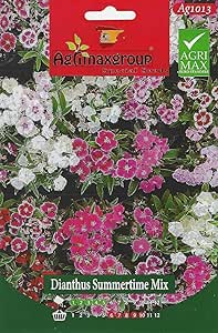 DIANTHUS SUMMERTIME MIX