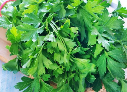 AGRIMAX CAN PARSLEY SUPER TRIPLE