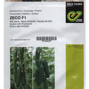 SEED CUCUMBER- ZECOF1 500 SEED PKT