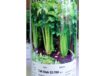 AGRIMAX CAN CELERY