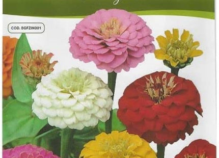 ZINNIA POMPON LILLIPUT IN MIX