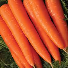 AGRIMAX HOBBY CARROTS