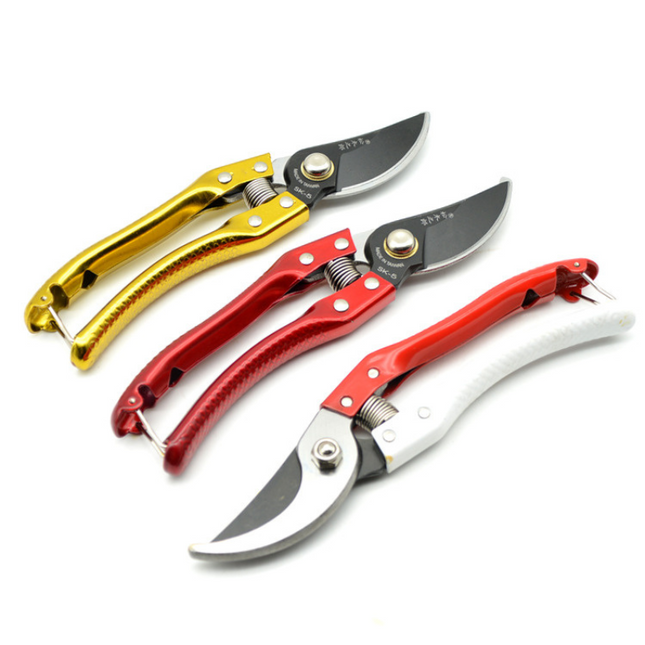 Pruning Shears mid quality