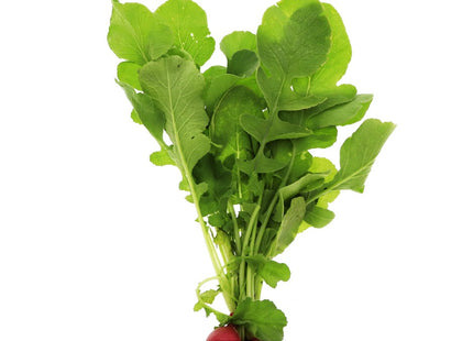 AGRIMAX CAN RADISH LEAVES