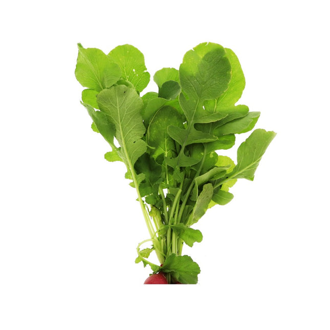 AGRIMAX CAN RADISH LEAVES