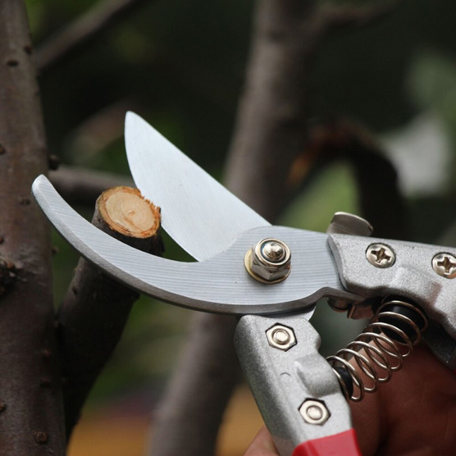 SHARP PLANT CLIPPER