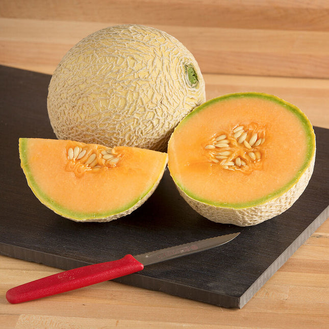 SUGAR CUBE MELON